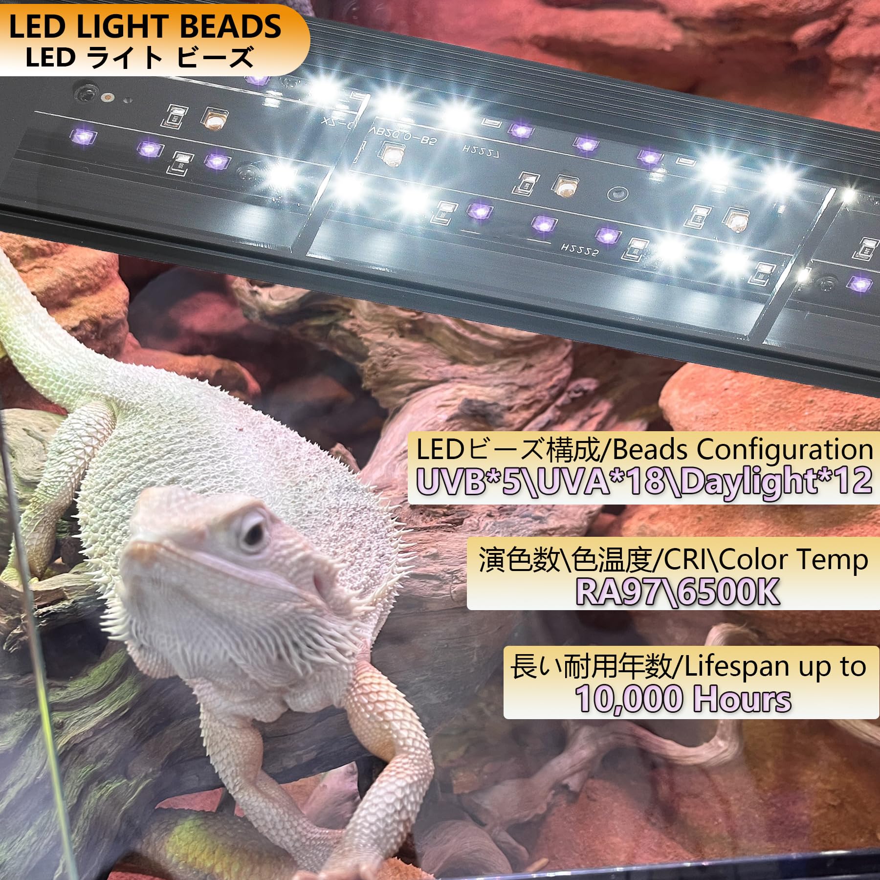Amazon.co.jp: ANJOJOA 爬虫類 紫外線ライト LED UVA UVB フック式