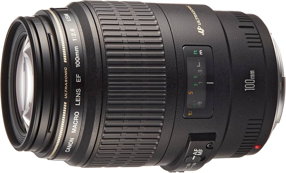Amazon.co.jp: Canon EF 100mm f/2.8 Macro USM SLR Macro lens Black
