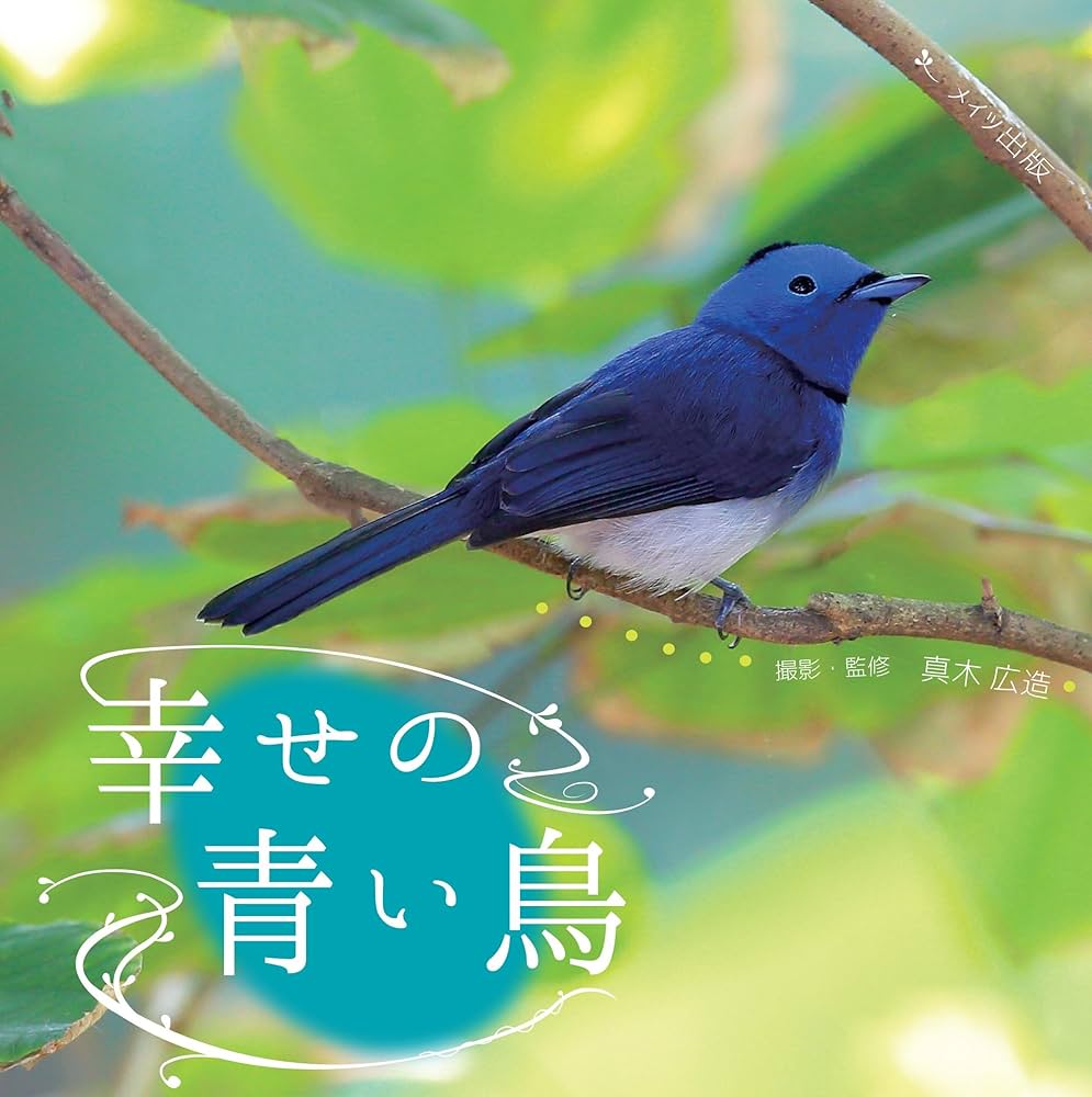Amazon.co.jp: 幸せの青い鳥 : 真木 広造, 真木 広造: Japanese Books