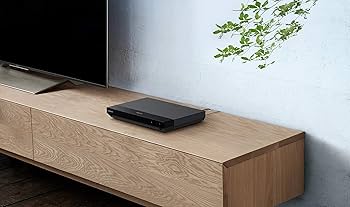 81CNYpaoIRS._AC_UF350,