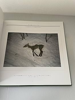 死: 宮崎学写真集 | 宮崎 学 |本 | 通販 | Amazon