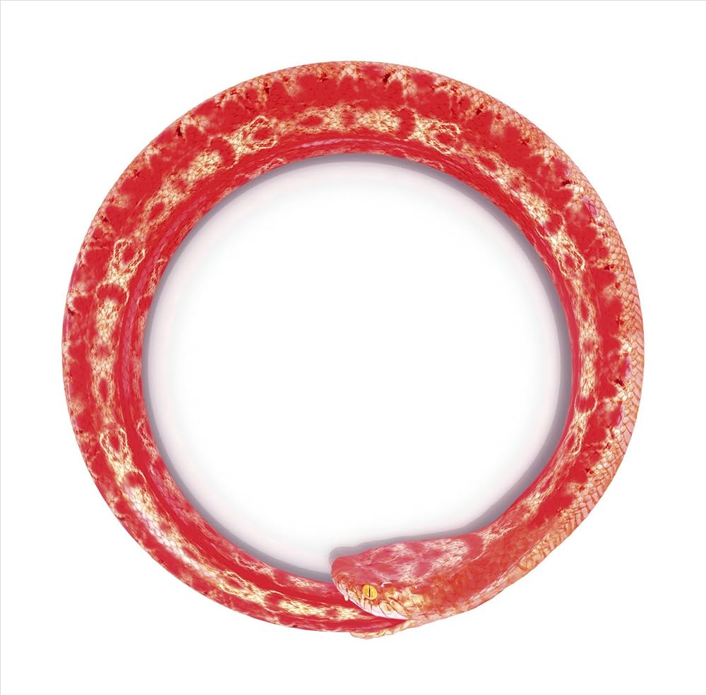 Amazon.co.jp: 完全感覚Dreamer - ONE OK ROCK: ミュージック