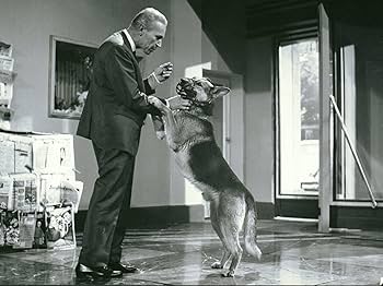 Amazon.com: 怪人マブゼ博士(原題:マブゼ博士の千の眼) フリッツ