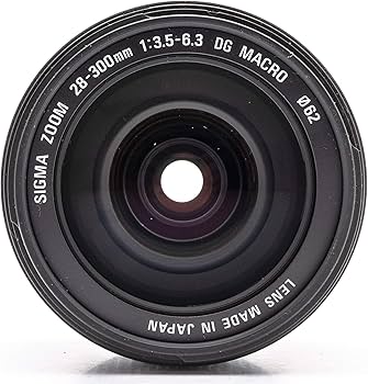 Amazon.co.jp: シグマ 28-300mm F3.5-6.3 DG MACRO ニコン用 : 家電
