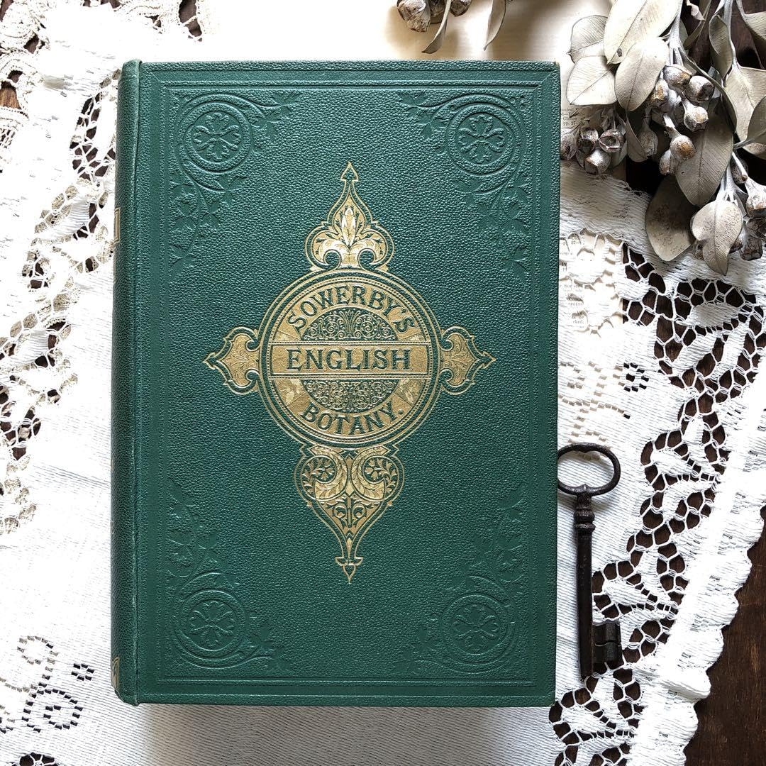 1869年！ 超希少 手彩色160枚 サワビーの英国植物図鑑IX