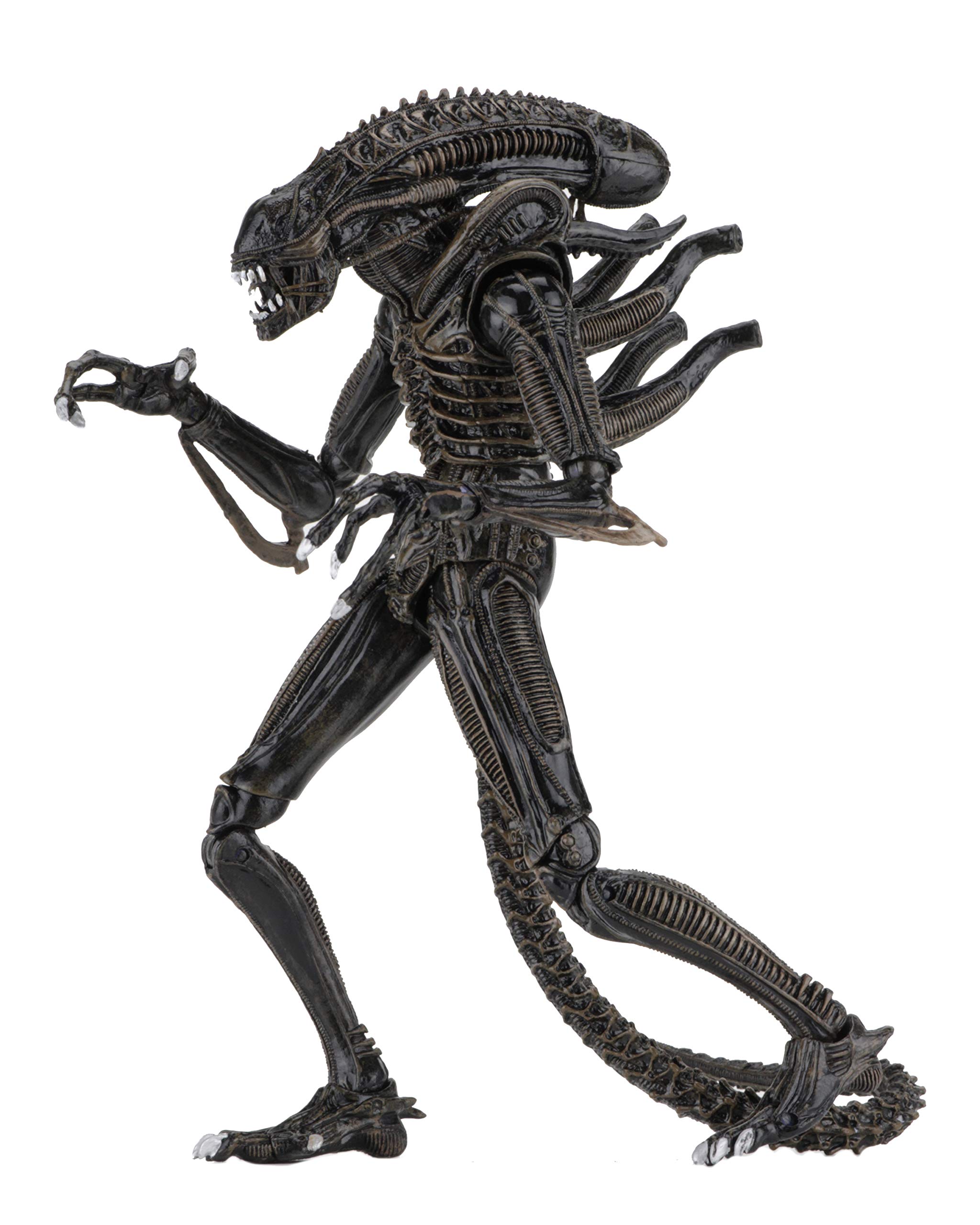 Amazon.com: NECA - Alien- 7
