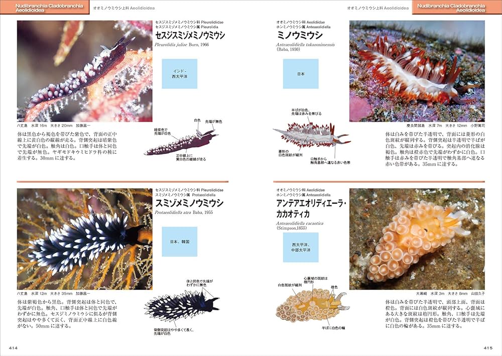 新版 ウミウシ (ネイチャーウォッチングガイドブック) | 篤司, 小野