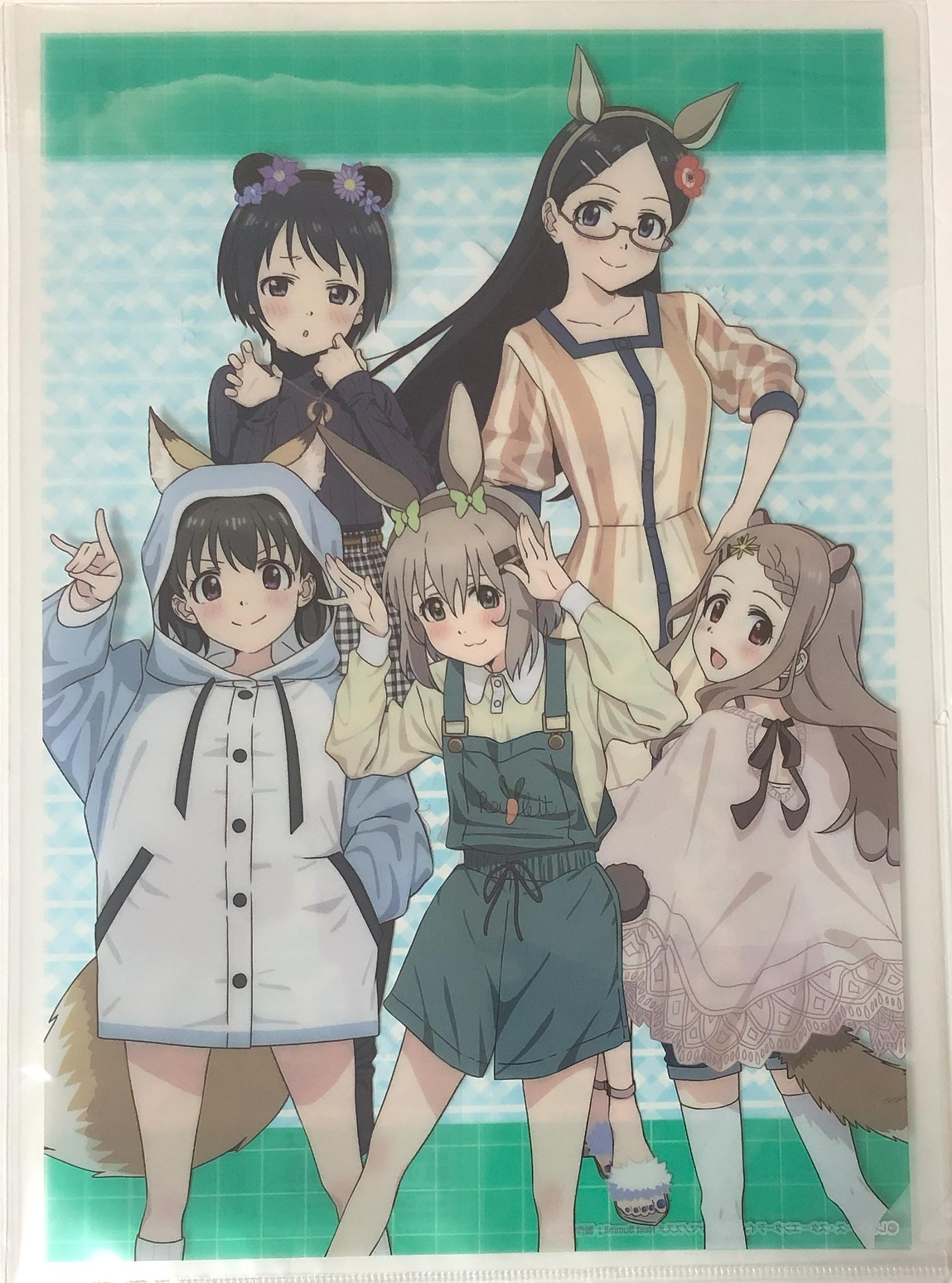 Amazon.co.jp: 『ヤマノススメ Next Summit』 描き下ろし A4クリア