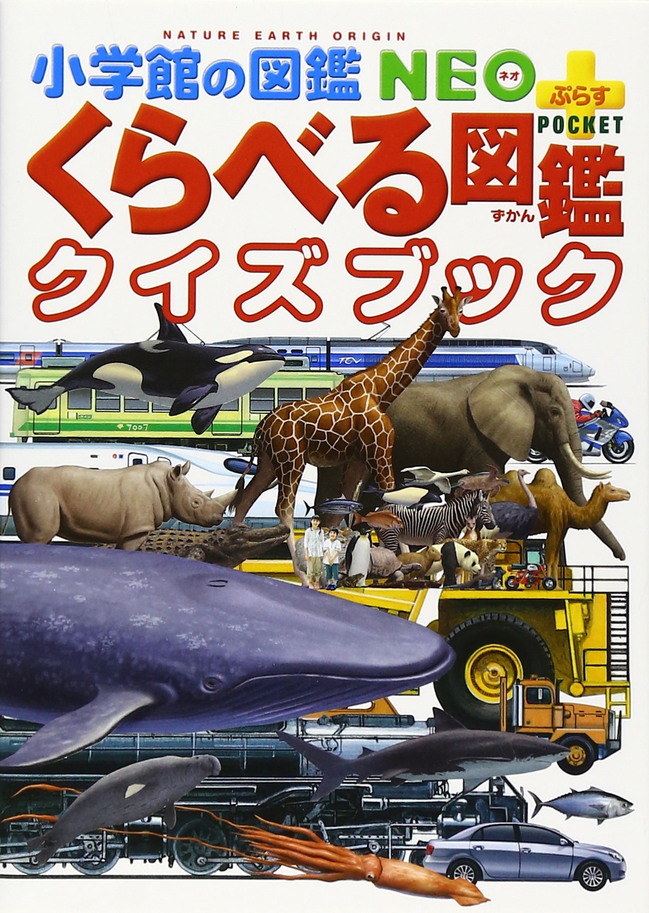 Amazon.co.jp: くらべる図鑑クイズブック : 加藤 由子: 本
