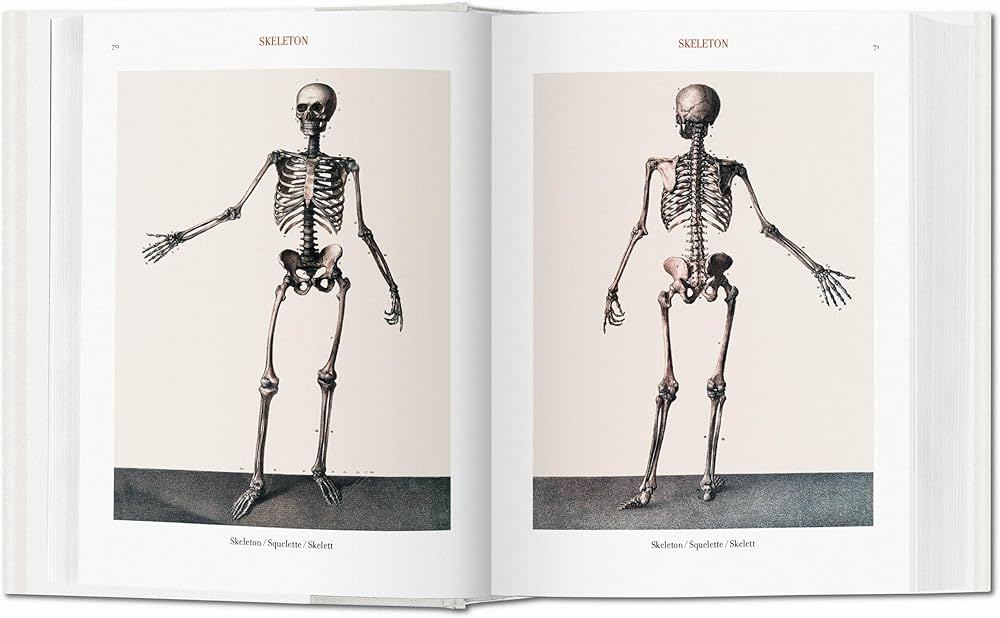 Amazon | Bourgery. Atlas of Human Anatomy and Surgery (Bibliotheca