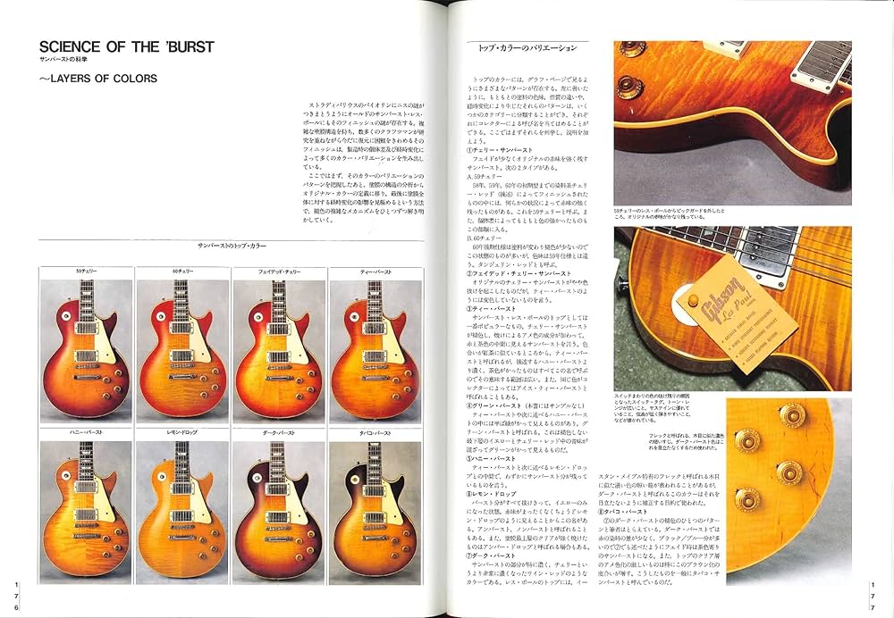 ザ・ビューティ・オブ・ザ・バースト リプリンテッド・エディション