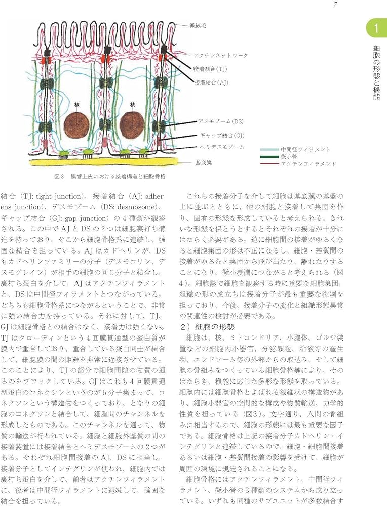 実践細胞診テキスト 改訂版 ―初心者からエキスパートまで | 南雲