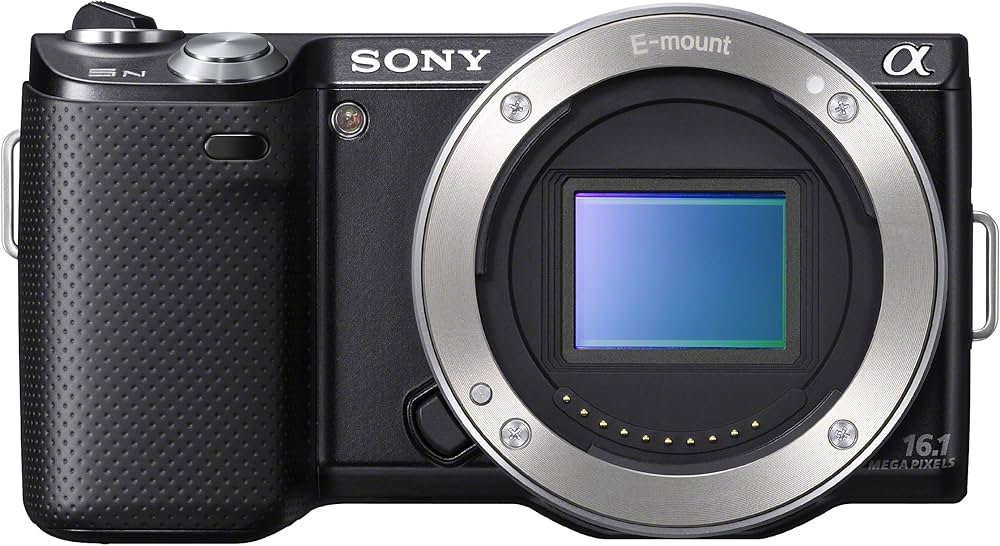 Sony NEX-5N + 18-55mm - digital cameras (Auto, Cloudy, Custom