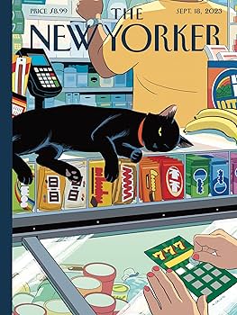 Amazon | New York Puzzle Company - New Yorker Bodega Cat - 1000