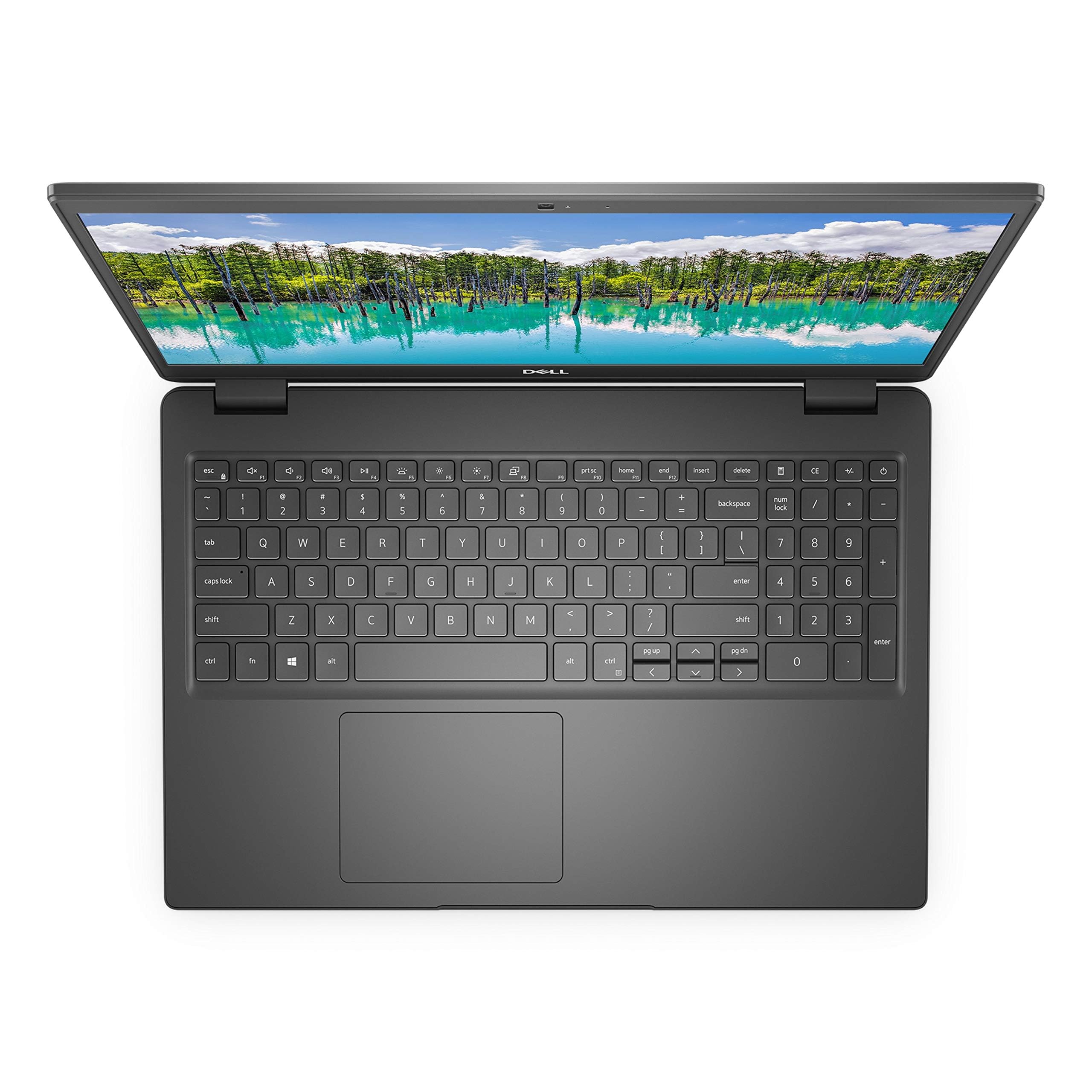 Amazon.com: Dell Latitude 3510 15.6