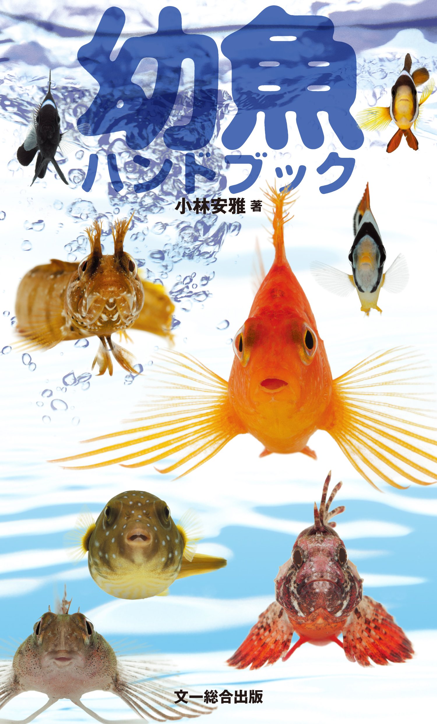 小動物臨床ハンドブック Rhea V. Morgan (¥42,000) 小動物臨床