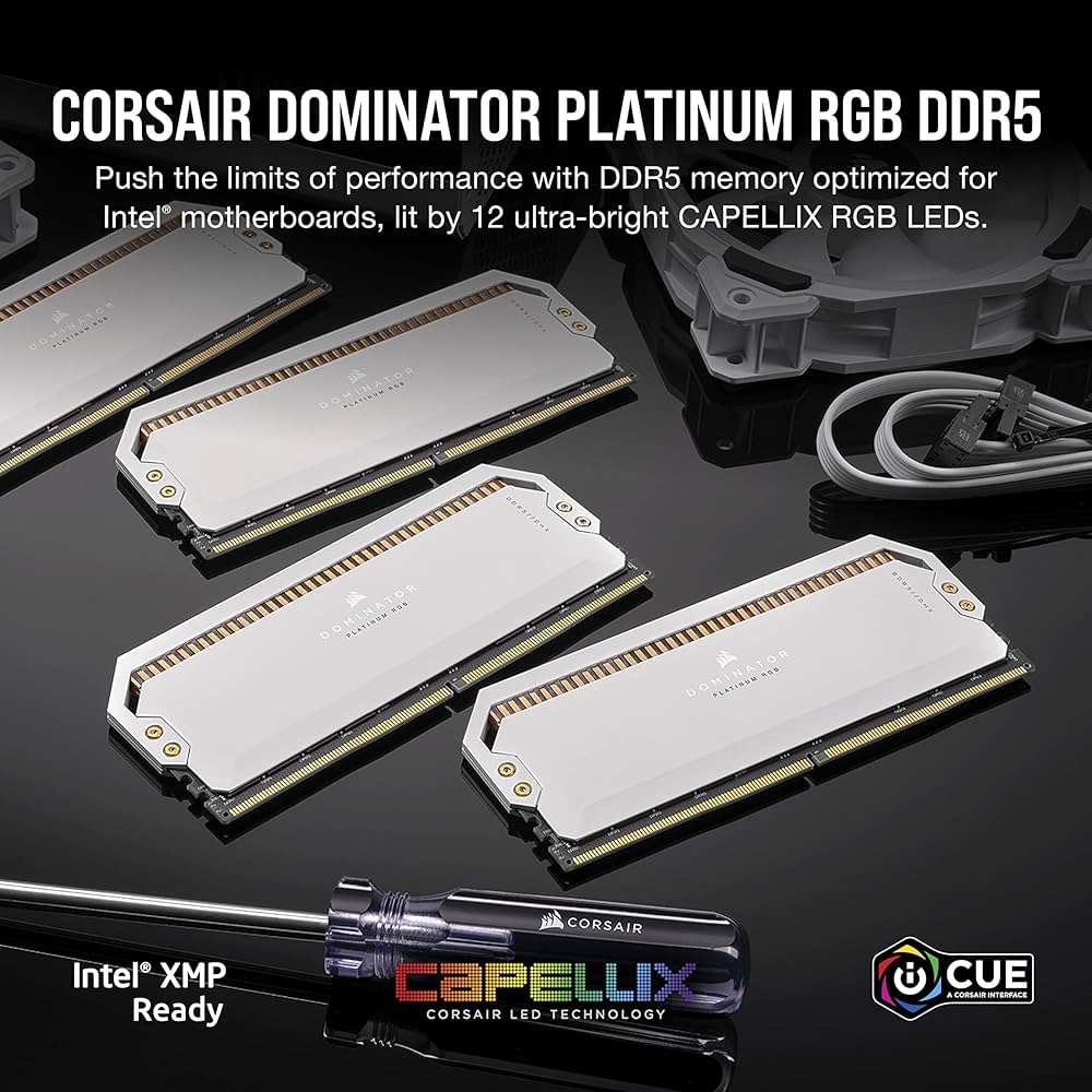 Amazon.co.jp: Corsair (コルセア) Dominator Platinum RGB DDR5 64GB