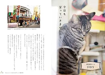 看板にゃん猫 －猫たちがこっそり教えてくれた14の奇跡の出会い