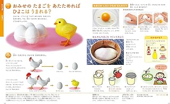 Amazon.co.jp: ふしぎの図鑑 (小学館の子ども図鑑プレNEO) : 白數 哲久: 本