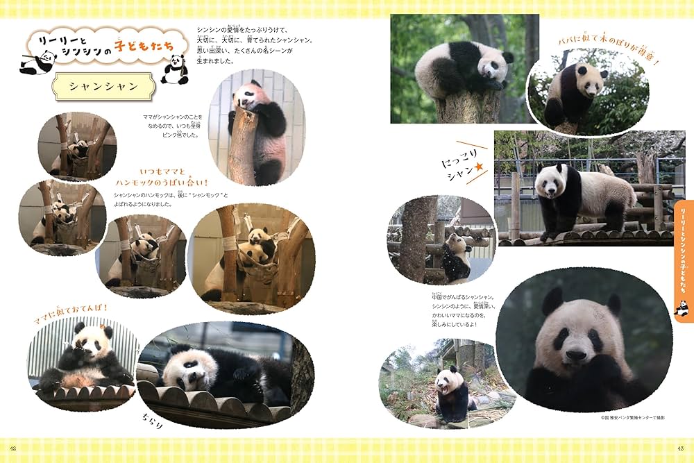 81MVP1wFiSL._AC_UF1000,