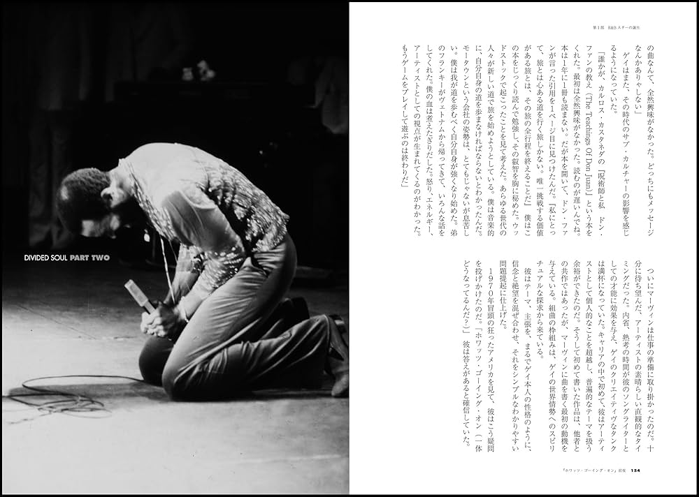 Amazon.co.jp: マーヴィン・ゲイ物語 引き裂かれたソウル (P‐Vine