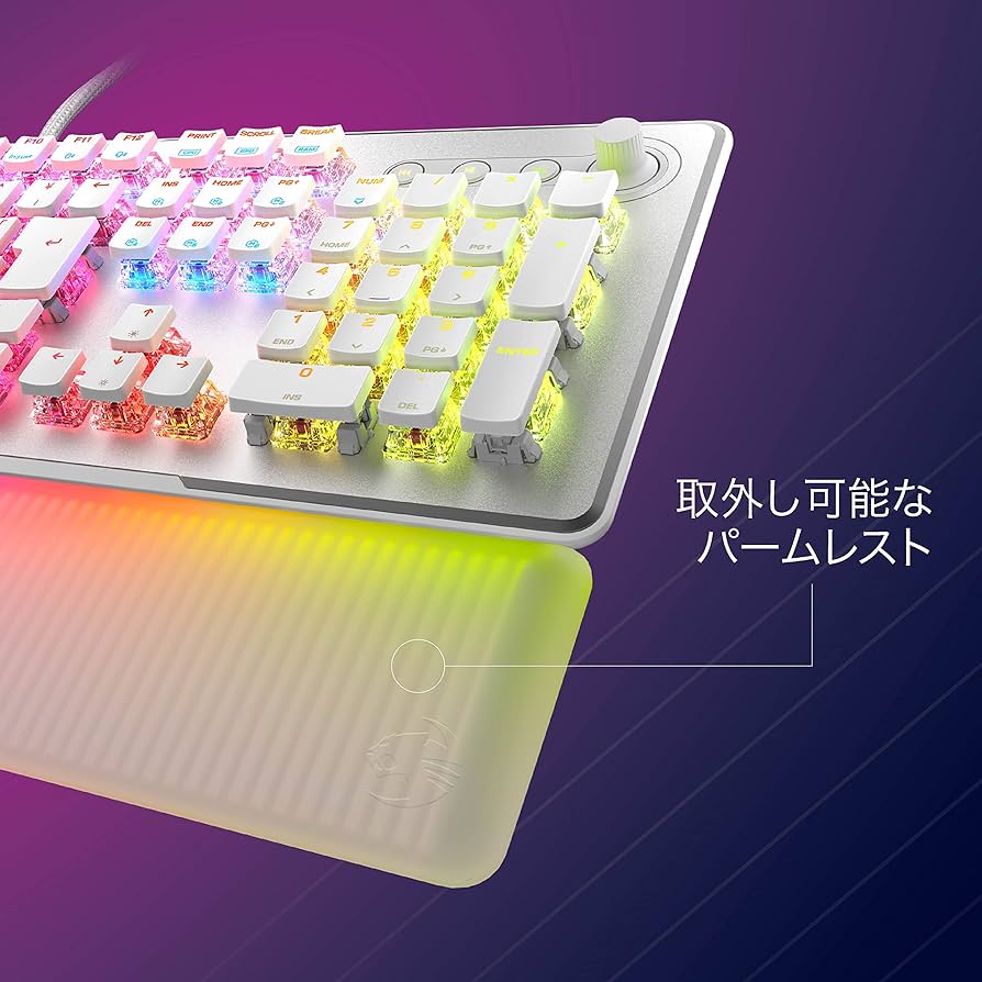 81Mfx23gT9L._AC_UF894,