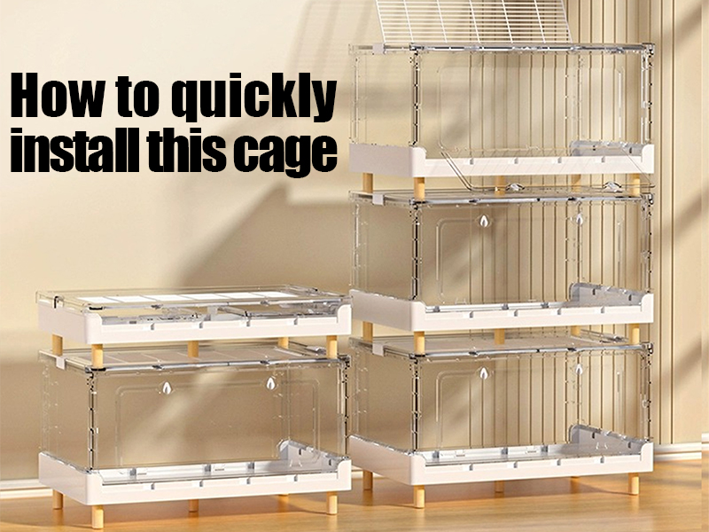 Amazon | Ruexue ハムスターケージ＆モルモット、小動物ペット用の完全