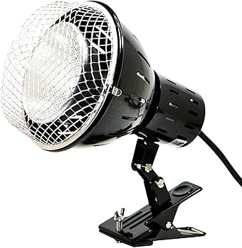 Amazon | ゼンスイ ソーラーラプター HIDランプ 50W | ゼンスイ