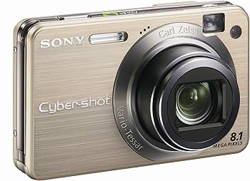 Amazon.com : Sony Cybershot DSCW150/G 8.1MP Digital Camera with 5x