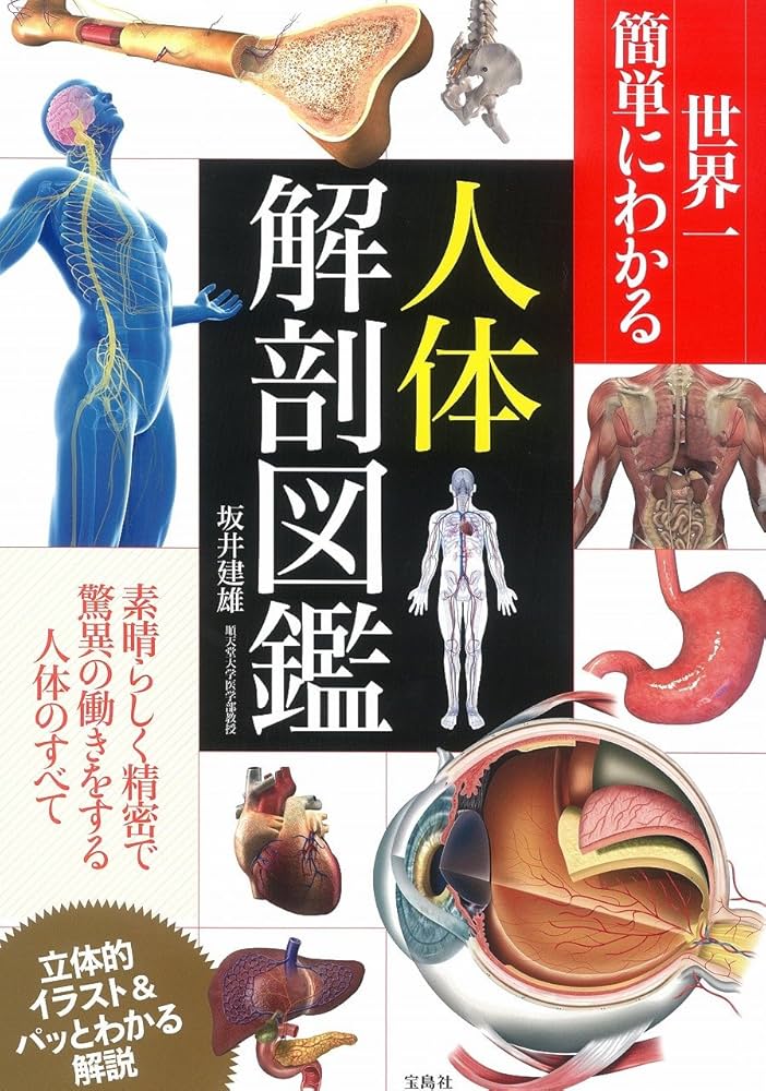 世界一簡単にわかる人体解剖図鑑 | 坂井 建雄 |本 | 通販 | Amazon