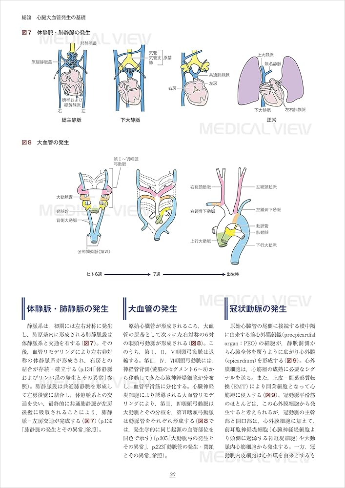 新 先天性心疾患を理解するための臨床心臓発生学 | 山岸 敬幸, 白石 公