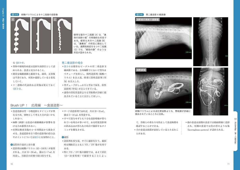 81OsPLz2C5L._AC_UF1000,