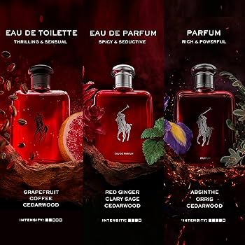 Amazon.com: Ralph Lauren Fragrances Polo Red - Eau de Toilette