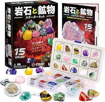 81Oyk90XOgL._AC_UF350,