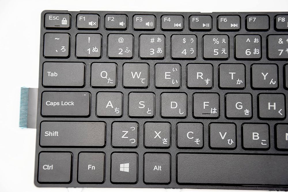 Amazon | E-ZeeGaaノートパソコンキーボード適用するDELL 15-300 15