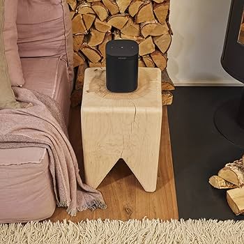 Amazon.com: Sonos One SL (2019) - Black : Electronics