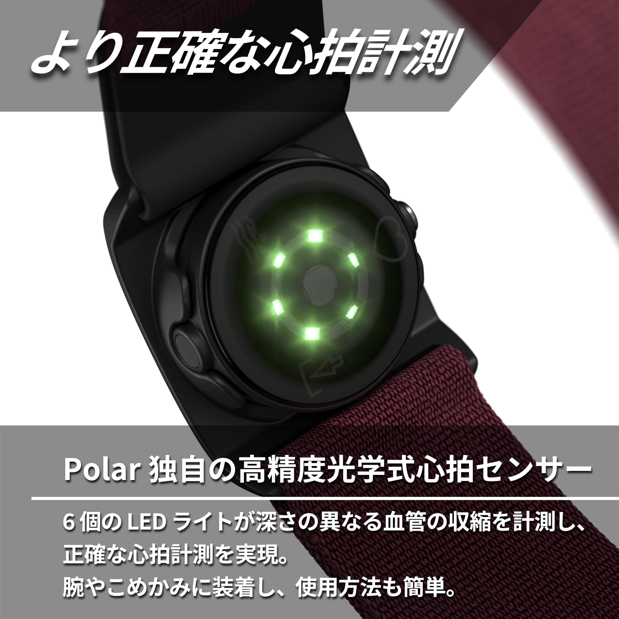 Amazon | POLAR (ポラール) ポラール ヴェリティ センス（ Polar