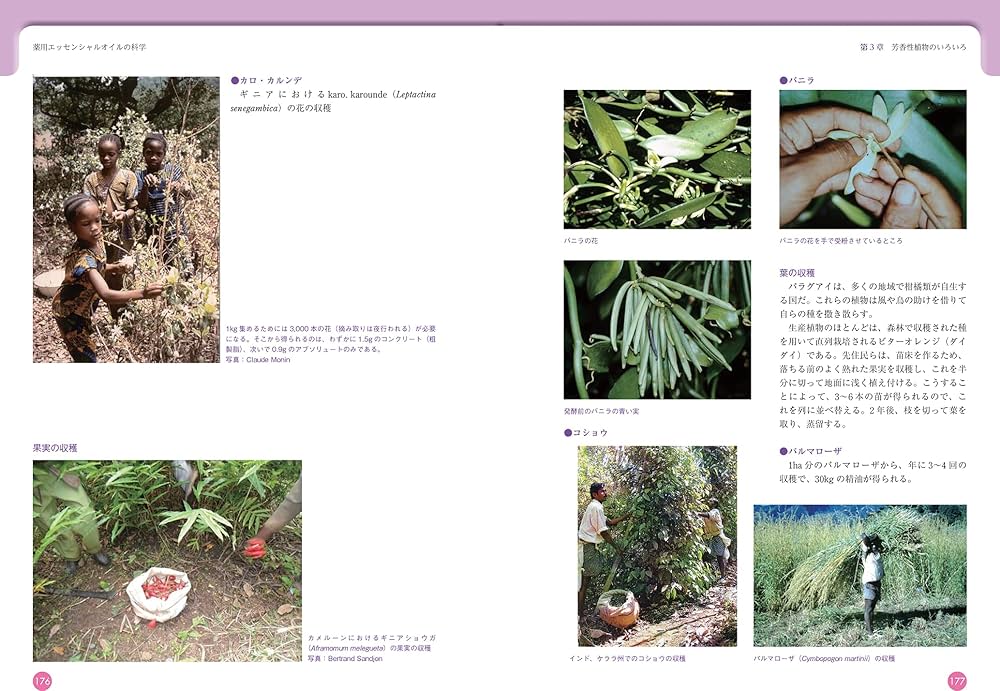 Amazon.co.jp: 薬用エッセンシャルオイルの科学: フランスアロマ