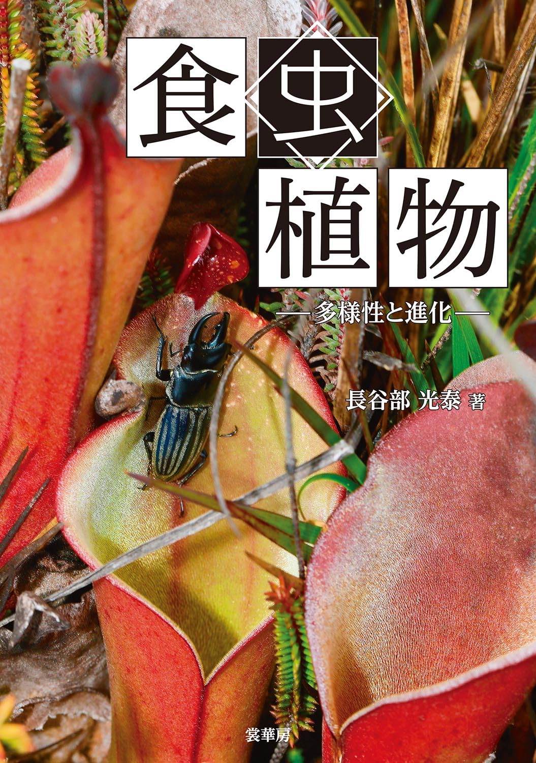 食虫植物: 多様性と進化 | 長谷部 光泰 |本 | 通販 | Amazon