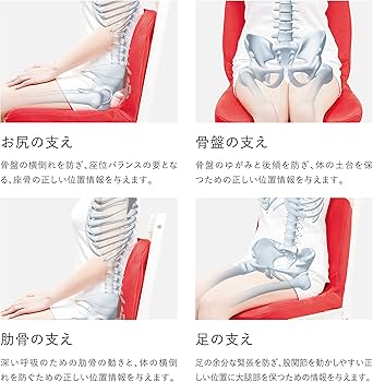 Amazon.co.jp: p!nto【正規品】 正しい姿勢の習慣用座布団 クッション