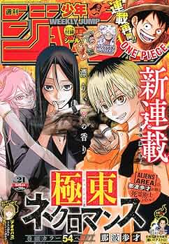 81S55cvfpJL._AC_UF350,