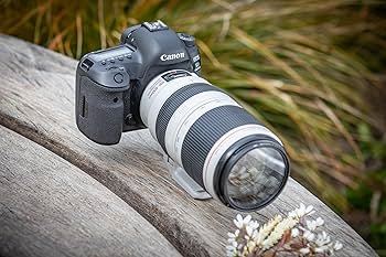 Amazon.co.jp: EF100-400mm F4.5-5.6L IS II USM : 家電＆カメラ