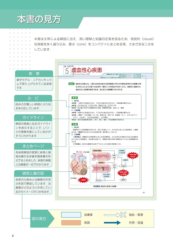 visual core pharma 薬物治療学 | 吉尾 隆 |本 | 通販 | Amazon