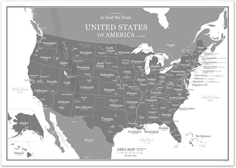 Amazon.co.jp: ミニマルマップ アメリカ地図 シンプル で おしゃれ な