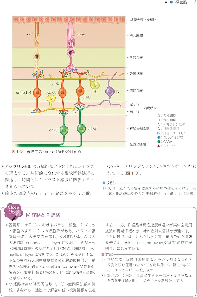 Amazon.co.jp: 神経眼科学を学ぶ人のために 第4版 : 三村 治: 本