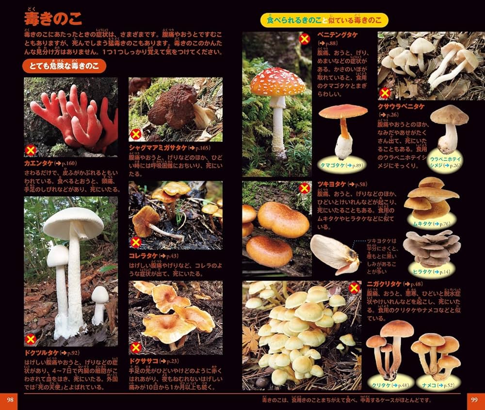 きのこ (小学館の図鑑NEO POCKET 13) | 保坂 健太郎, 大作 晃一 |本