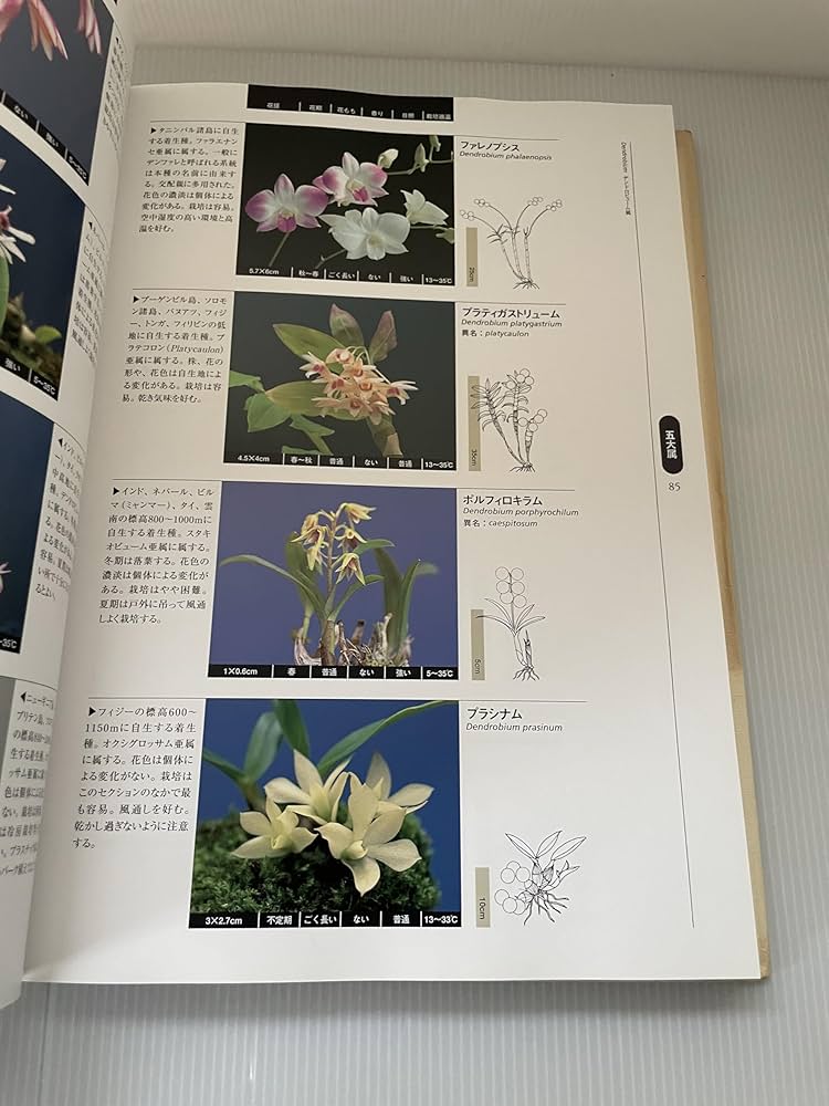 81VK40aIiIL._AC_UF1000,