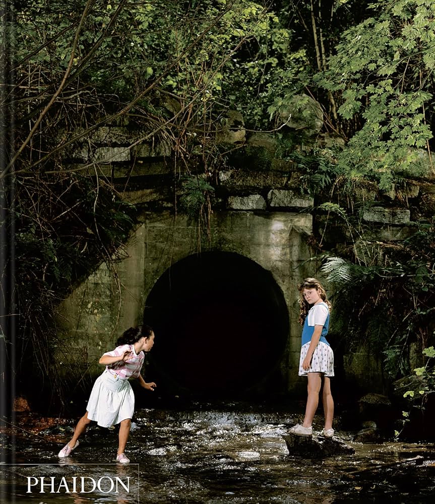 Jeff Wall (Phaidon Contemporary Artists Series): Duve, Thierry