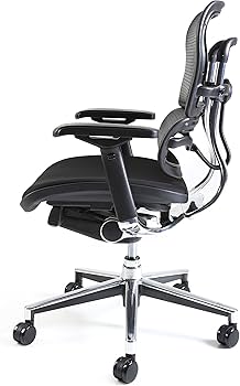 Amazon.co.jp: 【旧型】 エルゴヒューマン ベーシック オフィスチェア