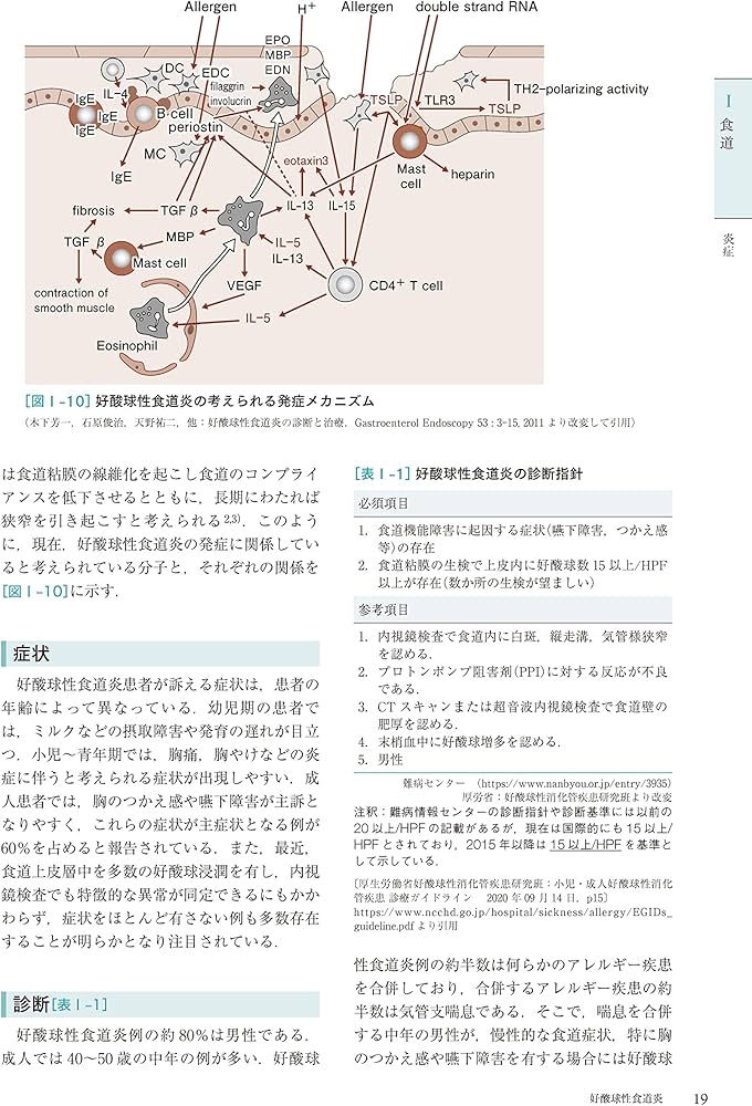 専門医のための消化器病学 第3版 | 下瀬川徹, 渡辺 守, 木下芳一, 金子